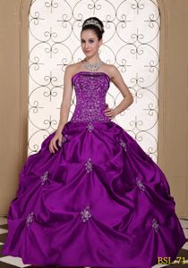 Popular Purple Sweet Sixteen Dresses with Embroidery and Pick-ups
