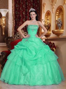 Elegant Apple Blue Ball Gown Pick-ups Appliques Sweet 15 Dresses