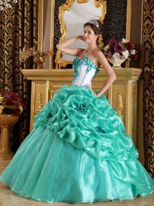 Sweetheart Organza Dress for Quinceaneras with Pick-ups and Flowers