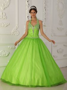 Spring Green Halter A-line Organza Sweet 16 Dress with Appliques