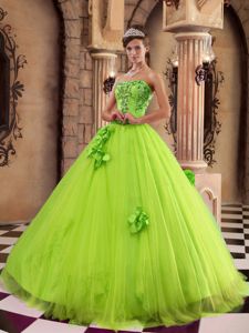 Spring Green Tulle Dress for Sweet 16 with Beading and Appliques