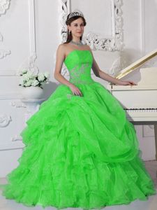Appliqued and Ruffled Organza Quinceanera Dress in Spring Green