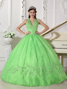 Spring Green Puffy Organza Quince Dresses with Haltered V-neck