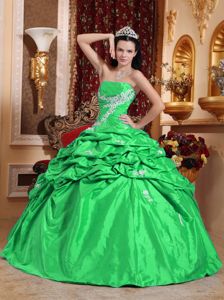 Discounted Green Strapless Quinceanera Gown with Appliques and Pick Ups
