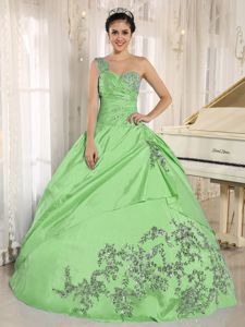 Spring Green One Shoulder Quinceneara Dresses with Appliques