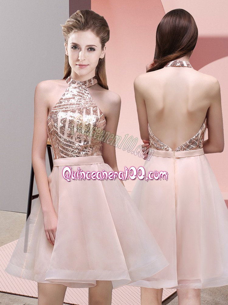Sleeveless Sequins Backless Quinceanera Court Dresses Quinceanera 100
