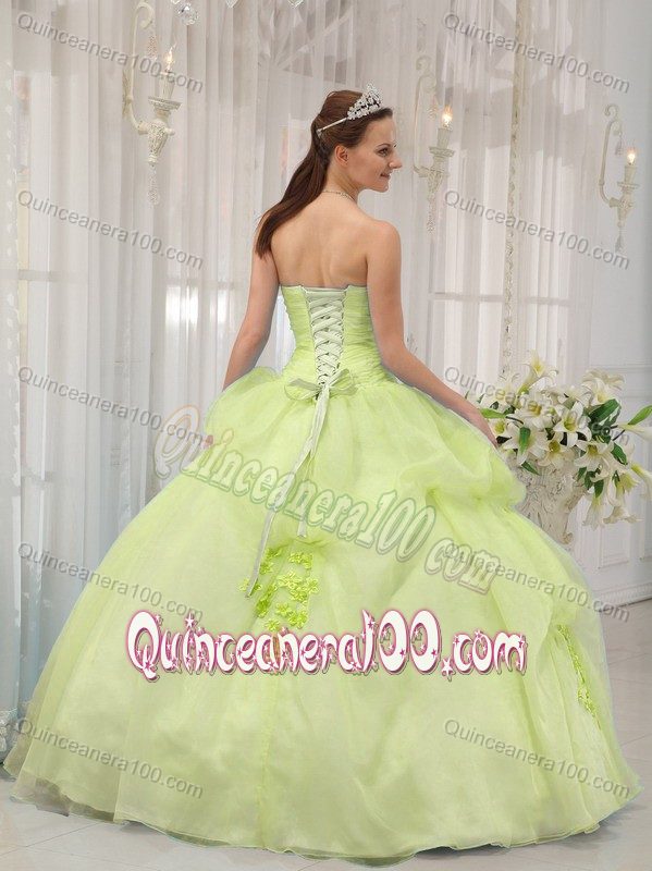 Sweetheart Floor-length Orgnaza Appliques Dress for Quince