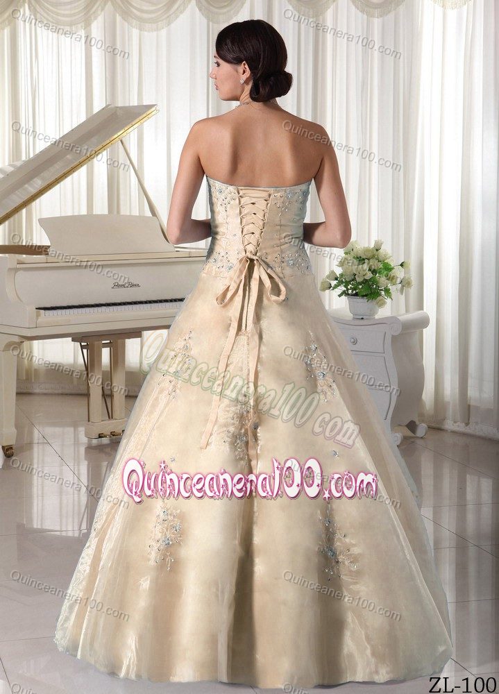 Princess Organza Appliques Quinceanera Dresses with Beading