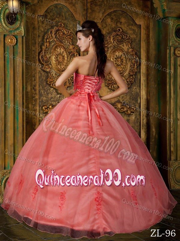 Vintage-inspired Ball Gown Appliques Sweet 15 Dress in Organza