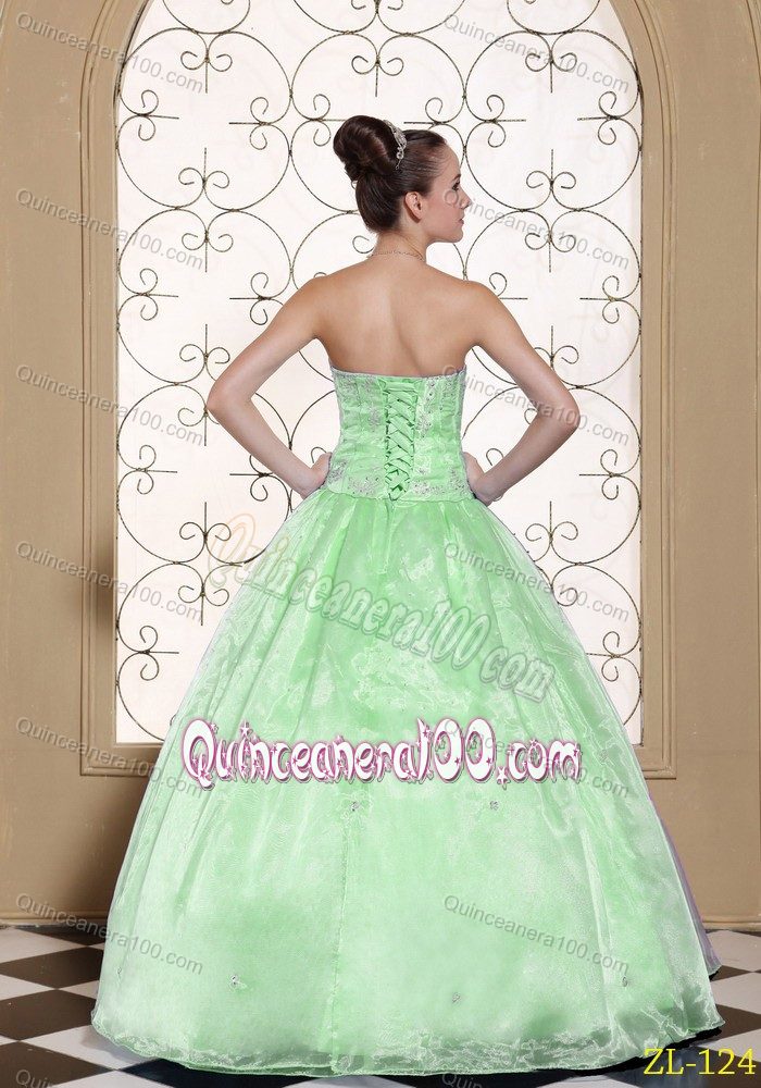 Ball Gown Strapless Apple Green Appliqued Quinceanera Dresses