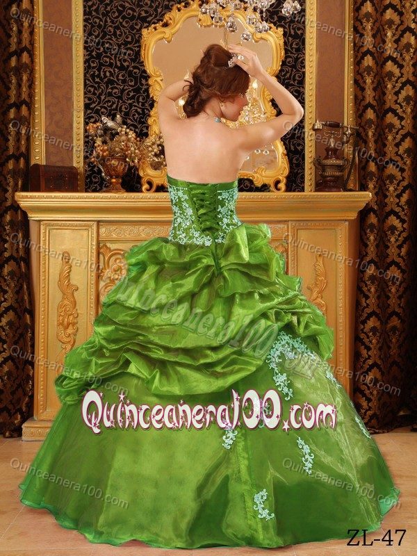 Best Ball Gown Pick-ups Appliqued Olive Green Sweet 15 Dress