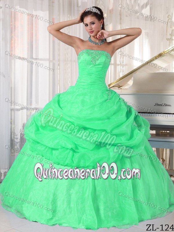 Green Ball Gown Organza Quinceanera Gown Dresses with Pick-ups