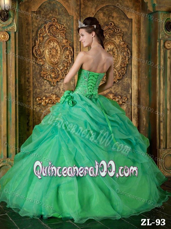 Green Ball Gown Organza Sweet Sixteen Dresses with Flowers