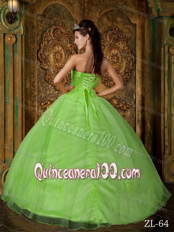 Spring Green Strapless Bodice Embroidery Quinceanera Gown