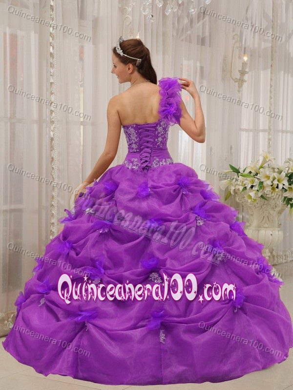One Shoulder Pick-ups Organza Appliques Quinceanera Gown Dresses