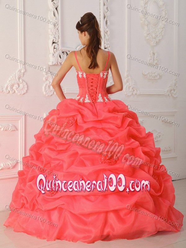 Straps Pick ups Sweet Sixteen Quinceanera Dresses