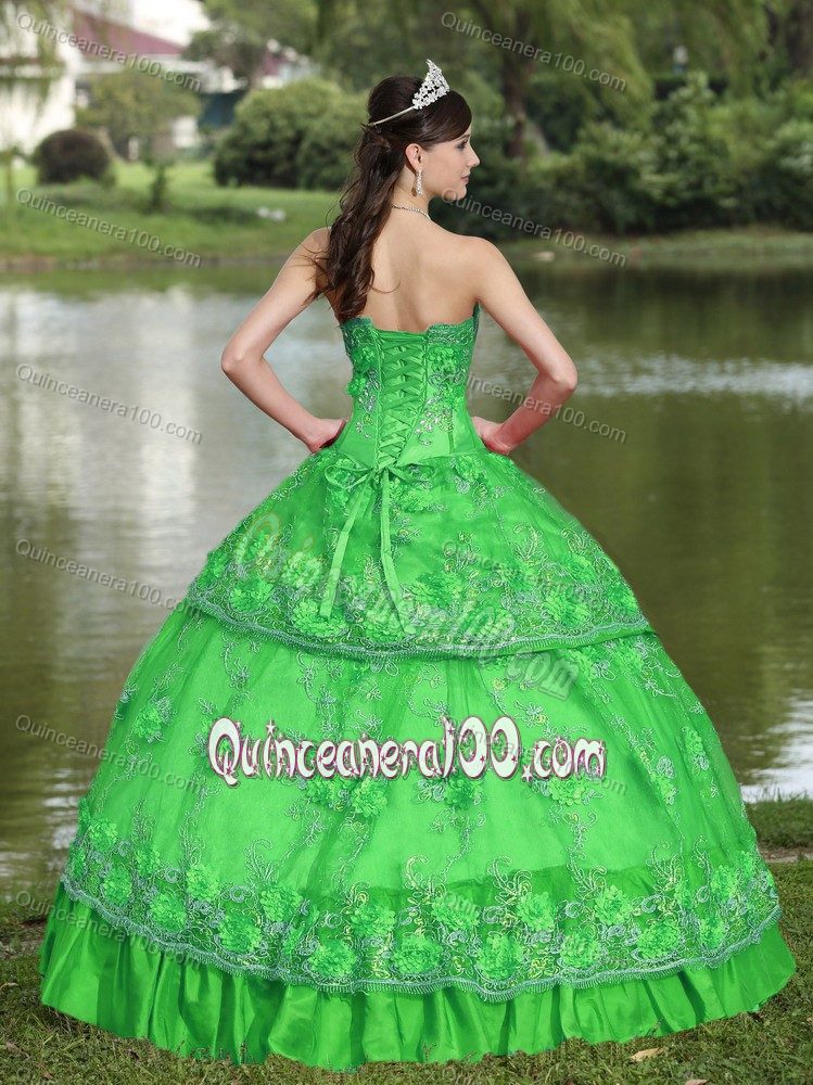 Stylish Grass Green Appliqued Quince Dresses Pleated Hem