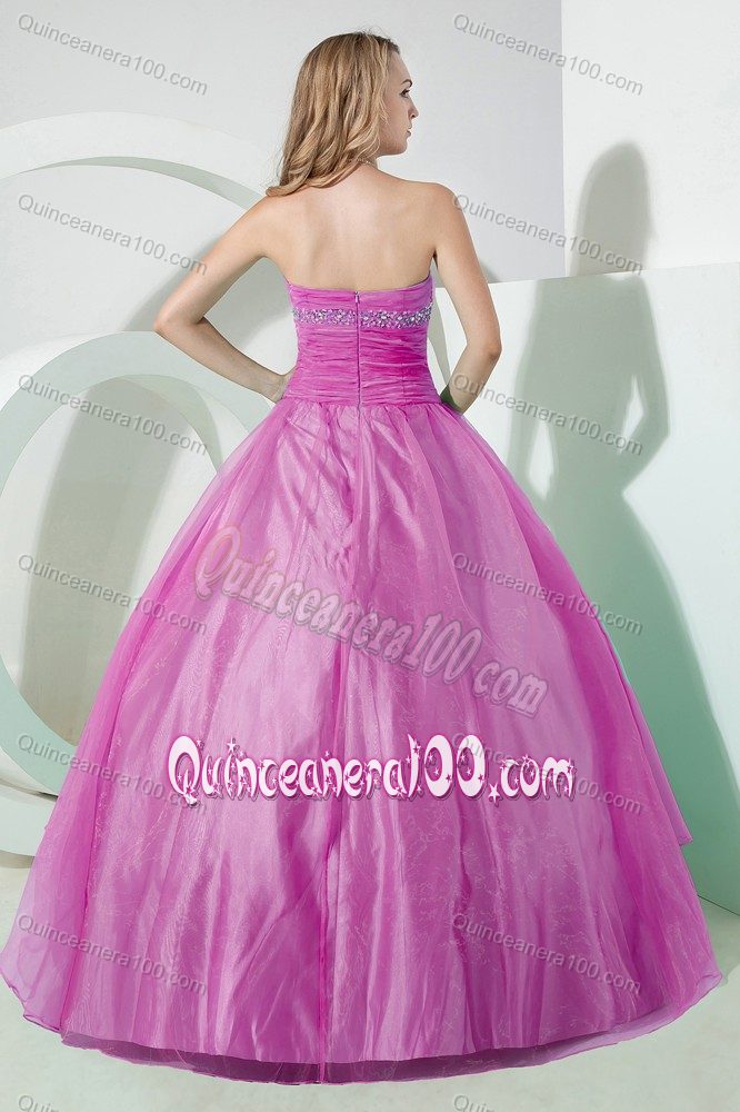 Pretty Strapless Appliqued Ruched Violet Quinceanera Party Dress