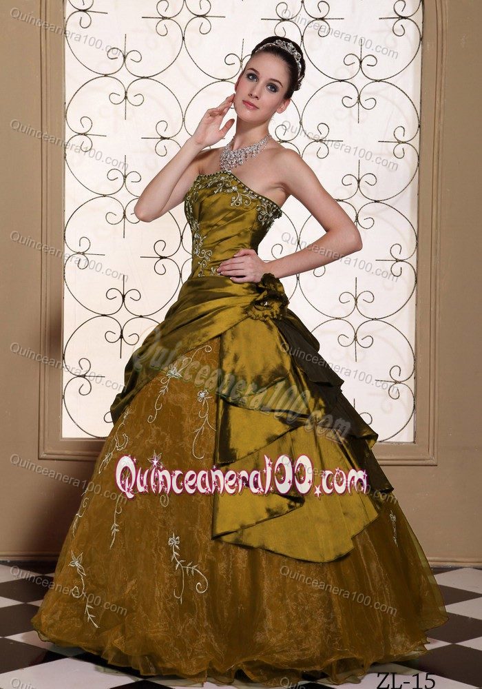 Pick ups and Embroidery Accent Brown Quinceanera Gowns Dresses