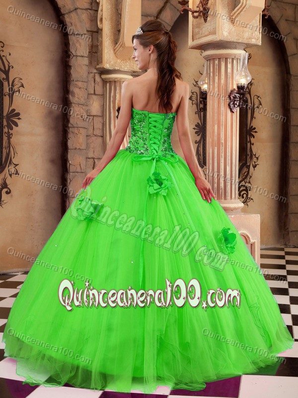Flowers and Beading Accent Tulle Sweet 15 Dresses in Spring Green