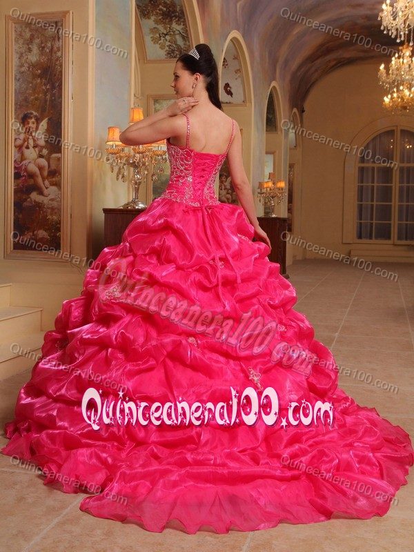 Embroidered Hot Pink v Neck Sweet Sixteen Dresses with Court Train