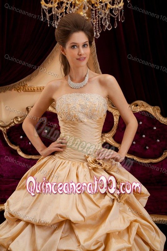 Champagne Taffeta Quinceanera Dress with Appliques and Pick-ups