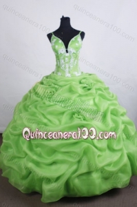 Lovely Ball Gown Spaghetti Straps Appliques And Pick-ups Quinceanera Dresses
