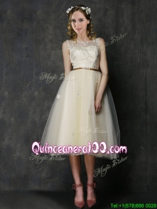 Popular Scoop Champagne Dama Dress with Sashes and Lace