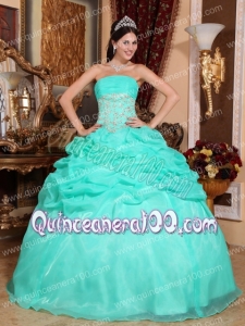Turquoise Ball Gown Strapless Floor-length Organza Appliques Quinceanera Dress