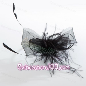 Simple Black Tulle Hairpins Birdcage Veils with Feather