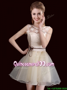 Classical See Through Laced and Belted Organza Champagne Dama Dress