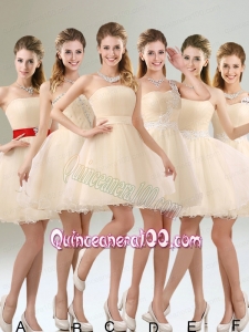 2015 Perfect A Line Organza Dama Dress with Mini Length