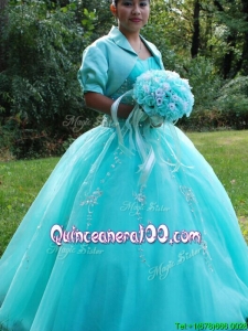 Wonderful Beaded and Applique Floor Length Quinceanera Dress with Puffy Skirt