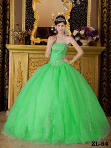 Lovely Spring Green Beaded 2013 Puffy Quinceanera Ball Gown
