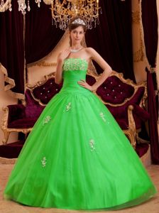 Spring Green A-line Strapless Appliques Dresses Of 15 Floor-length