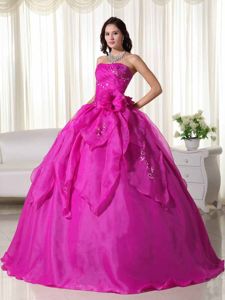 Hand Made Flowers Strapless Fuchsia Organza Appliques Dresses Of 15