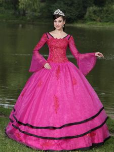 Long Sleeves and Appliques Decorated Quinceanera Dress in Fushsia