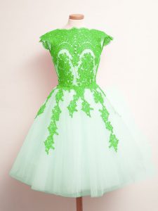 Dazzling Sleeveless Mini Length Appliques Lace Up Dama Dress with Multi-color
