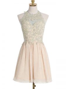 Vintage Sleeveless Chiffon Knee Length Lace Up Quinceanera Court of Honor Dress in Champagne with Appliques