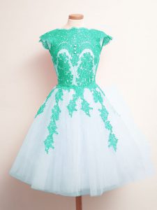 Multi-color Lace Up Scalloped Appliques Damas Dress Tulle Sleeveless