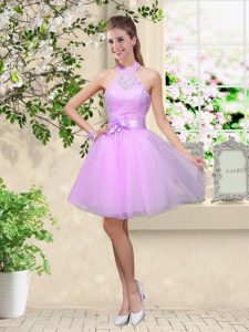 Cute Halter Top Sleeveless Lace Up Dama Dress for Quinceanera Lavender Tulle