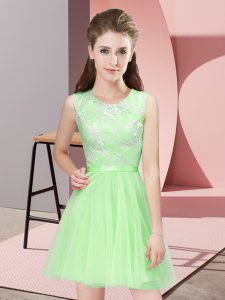 Comfortable Sleeveless Lace Mini Length Damas Dress