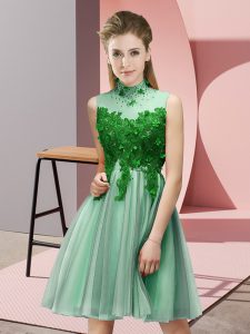 Empire Damas Dress Apple Green High-neck Tulle Sleeveless Knee Length Lace Up