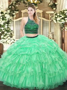 Halter Top Sleeveless Zipper Sweet 16 Dress Apple Green Organza