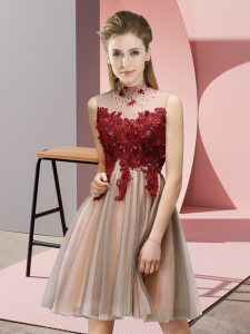 High End Knee Length Empire Sleeveless Pink Dama Dress for Quinceanera Lace Up