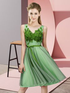 Trendy V-neck Sleeveless Lace Up Court Dresses for Sweet 16 Apple Green Tulle