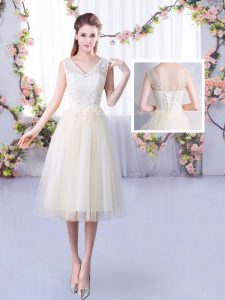 Champagne Lace Up V-neck Lace Quinceanera Court Dresses Tulle Sleeveless