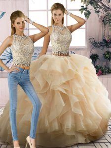 Graceful Champagne Sleeveless Tulle Zipper 15 Quinceanera Dress for Sweet 16 and Quinceanera