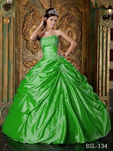 Perfect Ball Gown Appliqued Spring Green Quinceanera Party Dresses