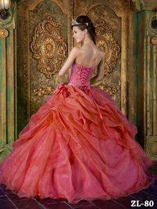 Rust Red Ball Gown Quinceanera Dress with Beading and Flowers